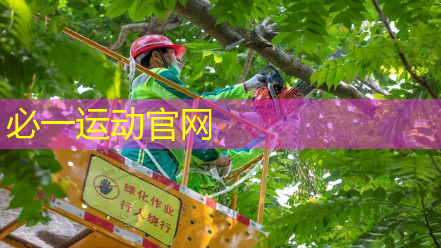网球拍几点拍头轻欧美
