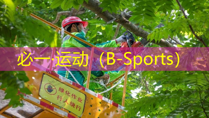 儿童篮球操器材